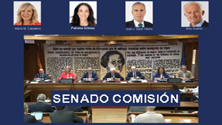 Senado Comisión de Investigación