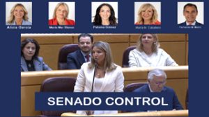 Senado: Control al Gobierno.