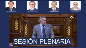 Congreso de los Diputados. Sesión Plenaria.